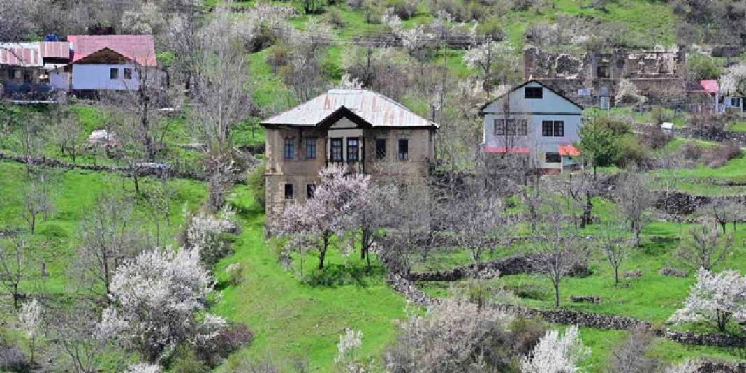 2 zıt beyaz aynı tepede buluştu! Gümüşhane’nin yüz yıllık mirası göz doldurdu 7